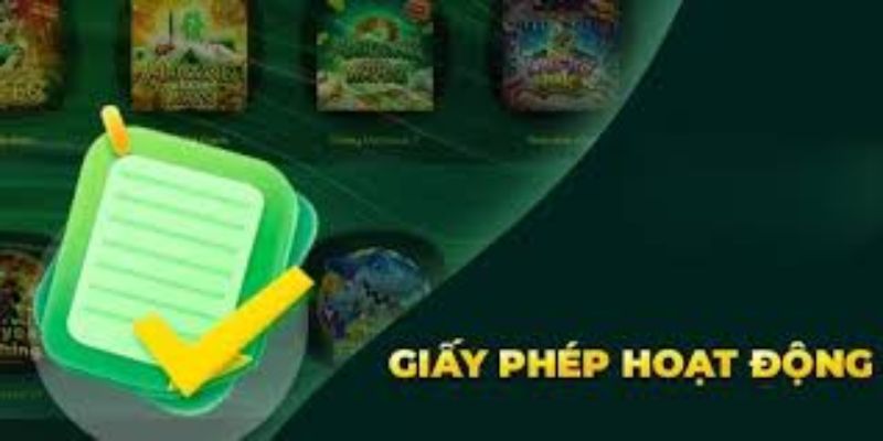 Các loại giấy phép 7m